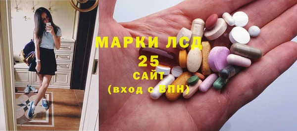 прущий лед Абаза