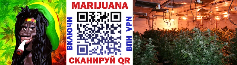 закладка  Осташков  Каннабис марихуана 